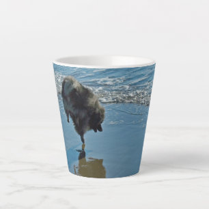 Tasse Latte Keeshond Ballet Photographie - Joli chien d'origin