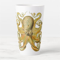 Kraken vintage, Pieuvre Gamochonia, Ernst Haeckel