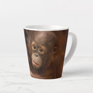 Tasse Latte La mère et le bébé d'Orangutan au zoo