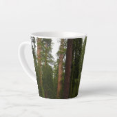 Tasse Latte Mariposa Grove dans le parc national de Yosemite (Angle gauche)