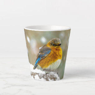 Tasse Latte Merlebleu de l'Est dans la Neige - Photographie Or
