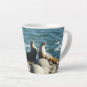 Tasse Latte Otaries de San Diego