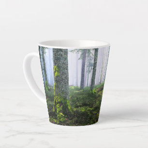 Tasse Latte Photo de forêt rêveuse du matin
