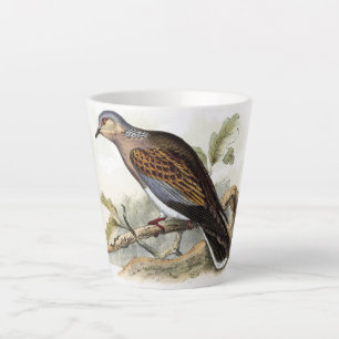 Tasse Latte Pigeon Colombe Streptopelia Peinture Nature Oiseau