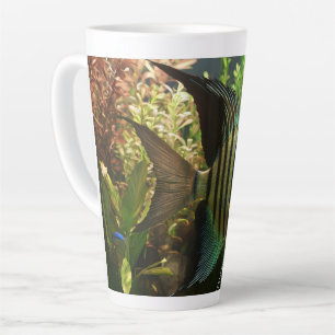 Tasse Latte Poisson-ange altum rayé