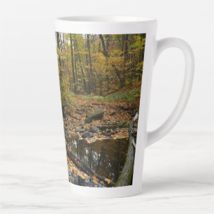 Tasse Latte Ruisseau de Fall avec reflet au parc Laurel Hill