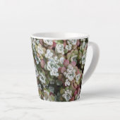 Tasse Latte Sedum Spathulifolium Succulents Floral (Angle droit)