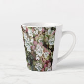 Tasse Latte Sedum Spathulifolium Succulents Floral (Droite)