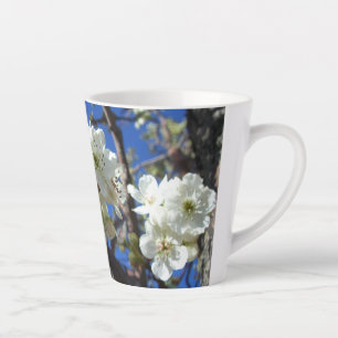 Tasse Latte Spring Flowering Pear Tree
