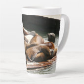 Tasse Latte Sunning Lions à San Francisco (Angle droit)