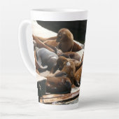 Tasse Latte Sunning Lions à San Francisco (Angle gauche)
