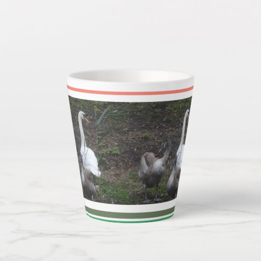 Tasse Latte Swan avec de jeunes cygnes mignons Design Latte Mu (Devant)