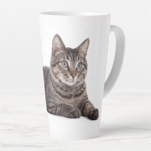 Tasse Latte Tabby Gris