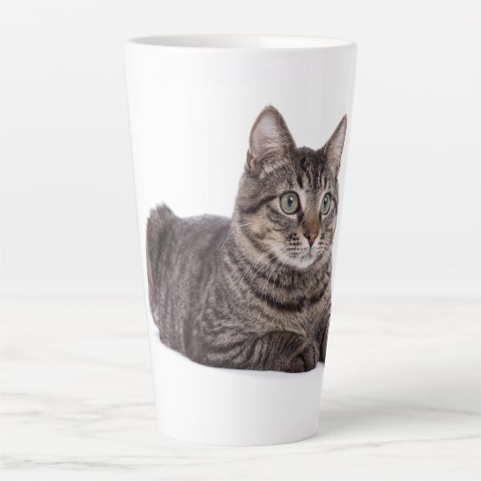 Tasse Latte Tabby Gris (Devant)