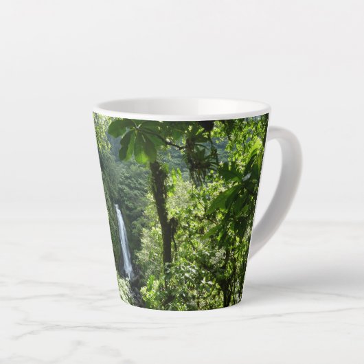 Tasse Latte Trafalgar Falls Tropical Rainforest Photographie (Angle droit)
