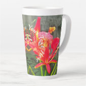 Tasse Latte Vallarta Flaming Beauty 1583 (Angle droit)