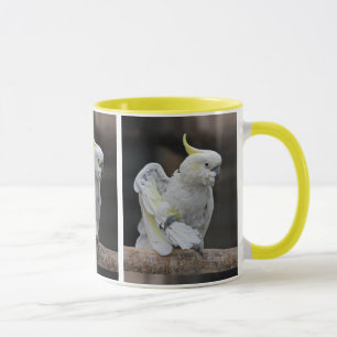 Tasse lissante de cacatoès