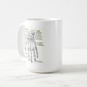 TASSE : Main/anatomie squelettiques (Devant gauche)