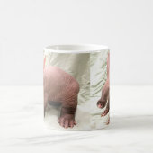 Tasse maladroite d'oryctérope (Centre)