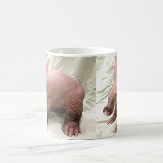 Tasse maladroite d'oryctérope (Centre)