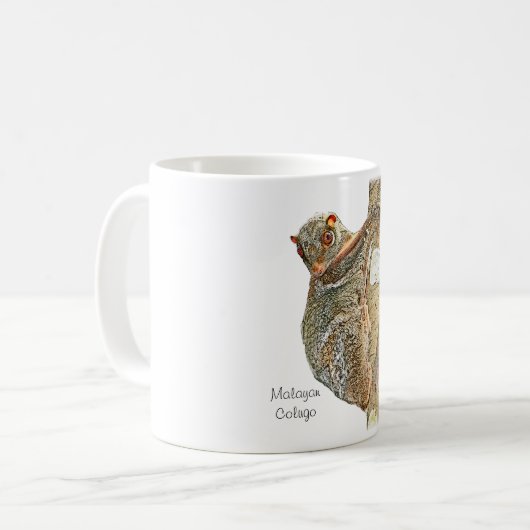 Tasse malaise de Colugo (Devant gauche)
