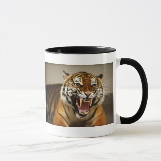 Tasse malaise du tigre #2 (Droite)