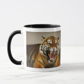 Tasse malaise du tigre #2 (Gauche)