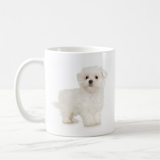 Tasse maltaise (Gauche)