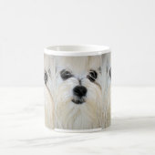 Tasse maltaise (Centre)