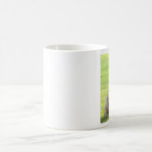 Tasse maximum et anglaise de mastiff (Centre)