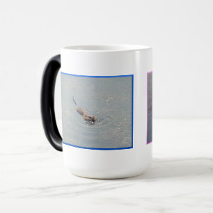Tasse métamorphosée du rat musqué