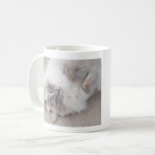 Tasse mignonne de chat de Ragdoll (Devant gauche)