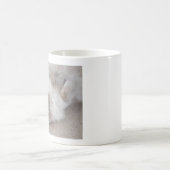 Tasse mignonne de chat de Ragdoll (Centre)