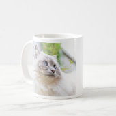 Tasse mignonne de chat de Ragdoll (Devant gauche)