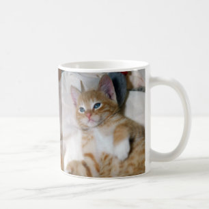 Tasse mignonne de chaton : Tasse tigrée