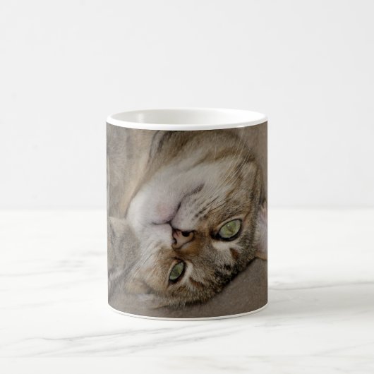 Tasse mignonne de Kitty (Centre)