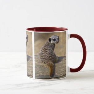 Tasse Mini Kat