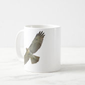 tasse montante de rouge-queue (Devant gauche)