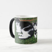 Tasse Morphing de ferme de Baldwin (Devant gauche)