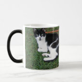 Tasse Morphing de ferme de Baldwin (Gauche)