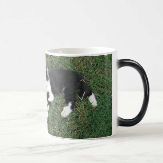 Tasse Morphing de ferme de Baldwin (Droite)