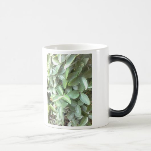 Tasse morphing de photo (Droite)