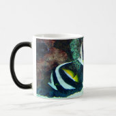 Tasse Morphing des poissons 14 (Gauche)