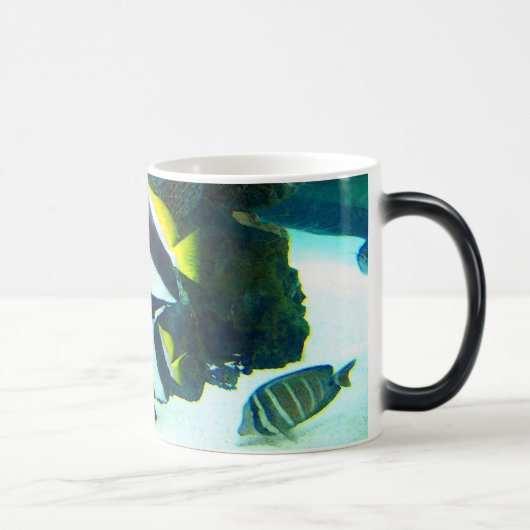 Tasse Morphing des poissons 14 (Droite)