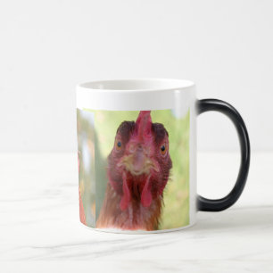 TASSE MORPHING D'OISEAU DRÔLE