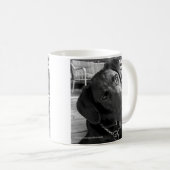 Tasse noire de Labrador (Devant droit)
