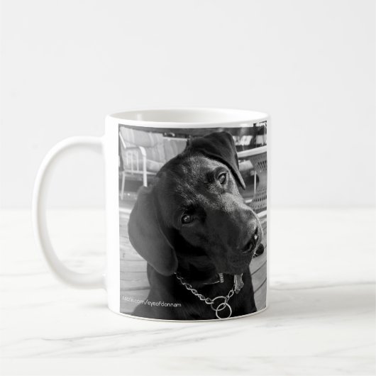 Tasse noire de Labrador (Gauche)
