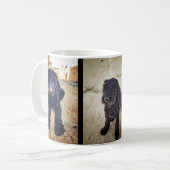 Tasse noire de Terrier de Russe (Devant gauche)
