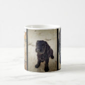 Tasse noire de Terrier de Russe (Centre)