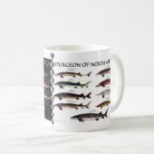 Tasse nord-américaine d'affiches d'esturgeon (Devant droit)